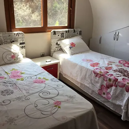 Cettia House *